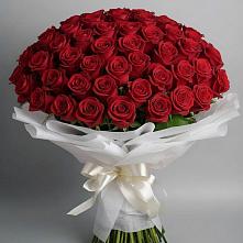 Букет 101 Красная роза Блэк Мэджик в Северск