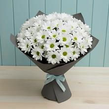 Букет цветов из:  Хризантемы #REPLACE_PRED# Северск