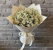 Букет цветов из:  Ромашки в Северск