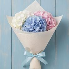 Букет цветов из:  Гортензия в Северск