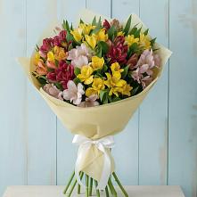 Букет цветов из:  Альстромерии в Северск