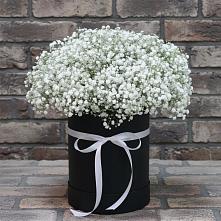 Цветочная композиция из Гипсофила в шляпной коробке в Северск