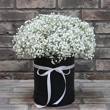 Цветочная композиция из Гипсофила в шляпной коробке в Северск