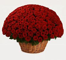 Премиум букет из: Розы в Северск