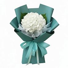Букет цветов из:  Гортензия в Северск
